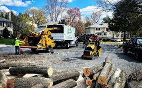 Best Seasonal Cleanup (Spring/Fall)  in Franklin, NC